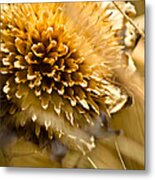 Exsiccate Metal Print