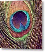 Peacock Feather Metal Print