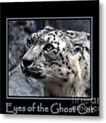 Eyes Of The Ghost Cat Metal Print