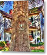 Face In The Tree Hdr Metal Print