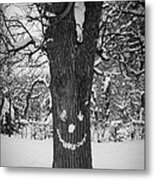 Face Of The Winter Metal Print