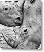 Face To Face Metal Print