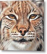 Faces Of The Wild - Lynx Metal Print