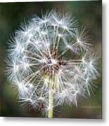 Fairy Umbrellas Metal Print