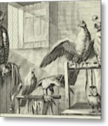 Falcons And Owls In A Barn, Pieter Van Lisebetten Metal Print