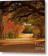 Fall Along A Country Road Metal Print