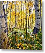 Fall At Silver Lake Metal Print