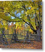 Fall Color #2 Metal Print