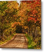 Fall Color Along A Dirt Backroad Metal Print