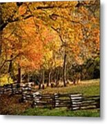 Fall Colors, Asheville, North Carolina Metal Print