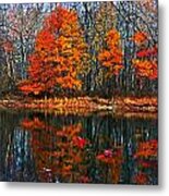 Fall Colors On Small Pond Metal Print