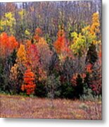 Fall In Dayton Ohio Metal Print