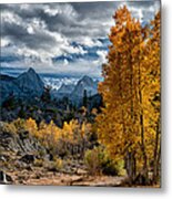 Fall In The Eastern Sierra Metal Print