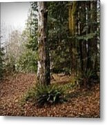 Fall In The Forest Metal Print