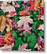 Leaves 2 Metal Print