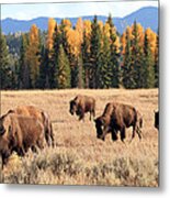 Fall Migration Metal Print