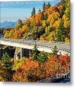 Fall On The Parkway Metal Print