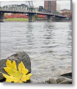 Fall Season Along Willamette River Portland Oregon Metal Print
