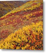 Fall Tundra And First Snow Metal Print