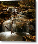 Fall With Grace Metal Print