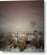 Falling Softly Metal Print