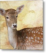 Fallow Deer Portrait Metal Print