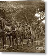 Family Out Carriage Ride On The 17 Mile Drive In Pebble Beach Circa 1895 Metal Print