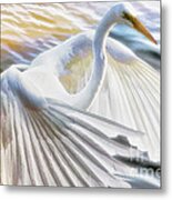 Fancy Wing Dancer Metal Print