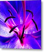 Fantasy Flower 9 Metal Print