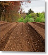 Farm Land Tilled And Ready For Planting Metal Print