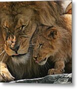 Father And Son Metal Print