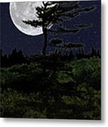 Favorite Tree In Full Moon Silhouette Metal Print