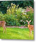 Fawns In The Afternoon Sun Metal Print
