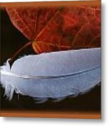 Feather On Leaves In A Pond No.1 Metal Print