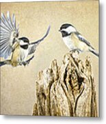 Feathered Friends Metal Print