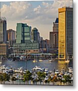 Federal Hill View To The Baltimore Skyline Metal Print