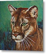 Feline Alert Metal Print