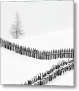 Fences: Playing With Lines Metal Print