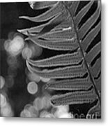 Fern Detail Metal Print