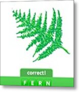 #fern #fernds #drawsomething Metal Print