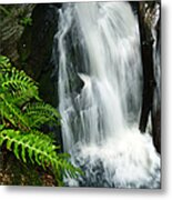 Waterfall - Fern Gorge Of Enders Forest Metal Print