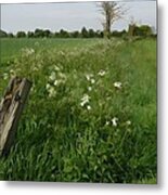 Field Boundary Metal Print