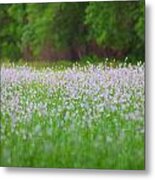 Field Of Flowers Metal Print