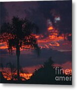 Fiery Sunset In Florida Metal Print