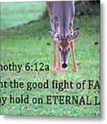 Fight Of Faith Metal Print