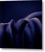 Finding Comfort In The Shadows Metal Print