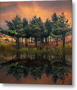 Fire Metal Print