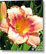 Fire Lily Metal Print