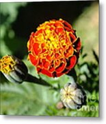 Fireball Metal Print