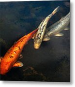 Fish - Fishing for a compliment Photograph by Mike Savad - Fine Art America
